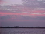 Nov. 29yh, 2005 Morning on Chincoteague