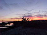 Nov. 19th, 2005 Chincoteague Island