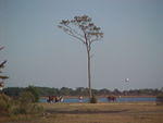 Nov. 19th, 2005 Chincoteague Island