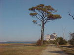Nov. 19th, 2005 Chincoteague Island