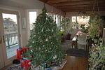 Dec 21st. 2005, Donna's Tree