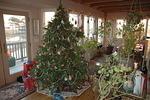 Dec 21st. 2005, Donna's Tree