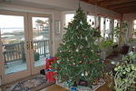 Dec 21st. 2005, Donna's Tree