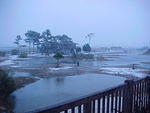 First Snow ,Dec.05, 2005, Chincoteague Island