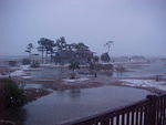 First Snow ,Dec.05, 2005, Chincoteague Island