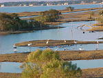 Dec 2nd, 2005 Chincoteague Island VA