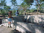 MVC_001F_014.jpg