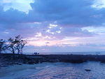 Jan. 31st, 2006