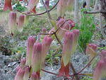 MVC_006F_006.jpg