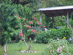 MVC_008F_020.jpg