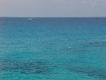 MVC_011F_007.jpg