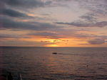 MVC_025F_005.jpg
