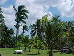 MVC_072F_001.jpg